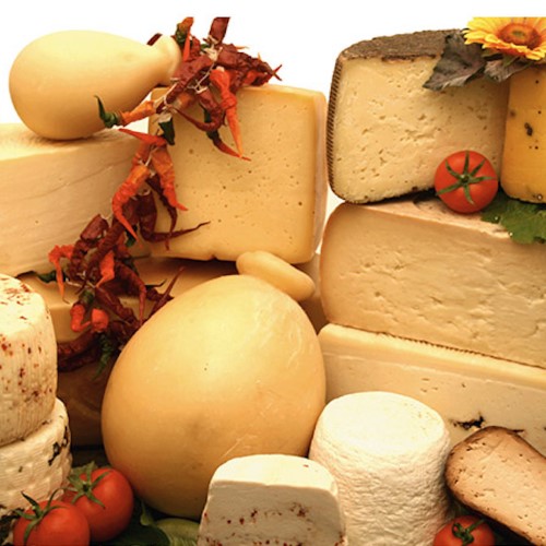 CHEESE & DAIRY PRODUCTS