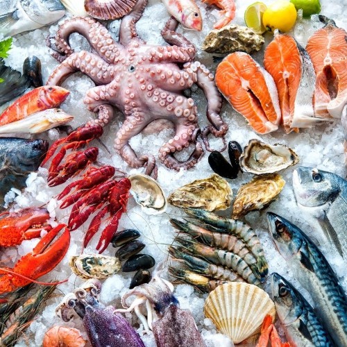 FRESH FISH
