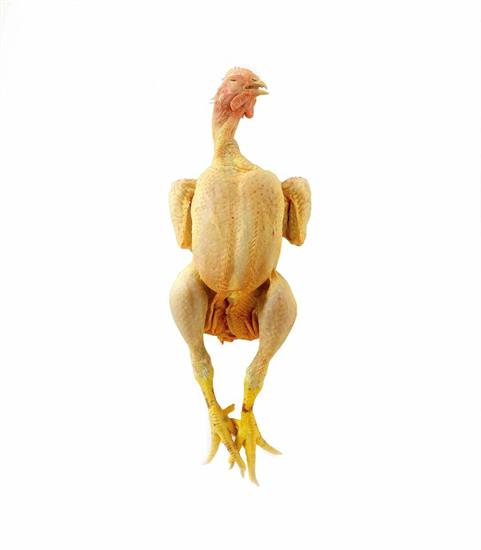 POLLO 3KG PENNA D'ORO AV.ARTIGIANA