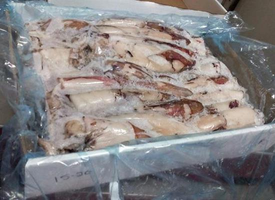 CALAMARO FRANCIA 300/500 BL.SEA 4,5KG PESO NETTO C.