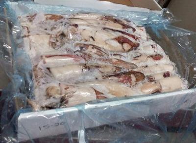 CALAMARO FRANCIA 300/500 BL.SEA 4,5KG PESO NETTO C.