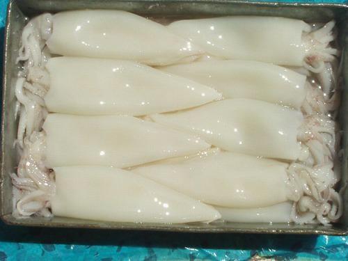 CALAMARO U5 BL.ORIENT.PUL.C.8,4K PESO NETTO(25C6)