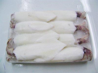 CALAMARO U3 BL.ASIANSURAT PUL.30%gl THAI.SURG.