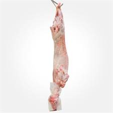 AGNELLO C/TESTA-C/FRAT.8/12KG FR