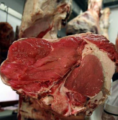 CARRE'8ST.SCOTTONA CHIANINA K22