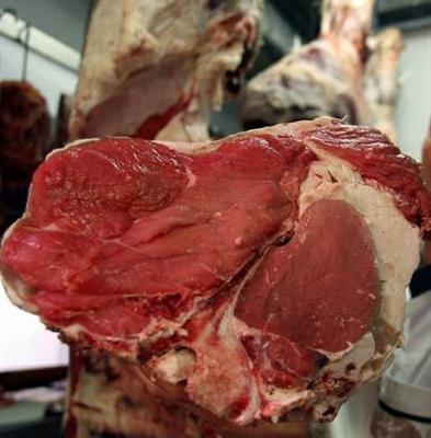 CARRE'8ST.SCOTTONA CHIANINA K22