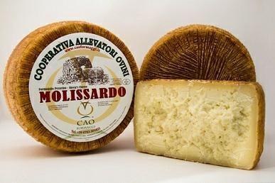 PECORINO MOLISSARDO 5kg SV C.A.O.