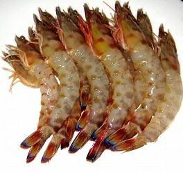 GAMBERI CUBA 40/50 SELV/MARE 0%GL.