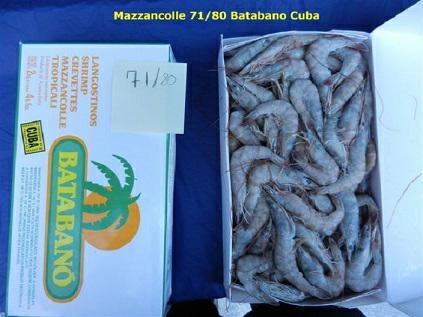GAMBERI CUBA 60/80 SELV/MARE 0%GL.C.k10