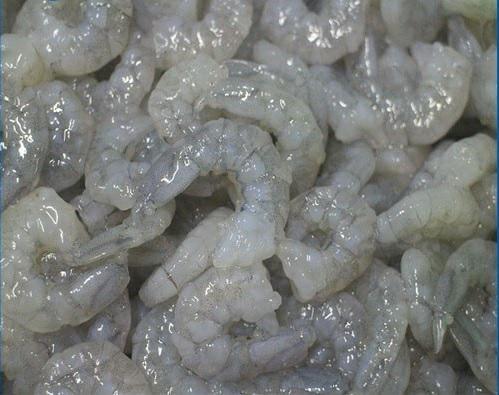 GAMBERI SGUS.16/20 ECUADOR 750GR C.