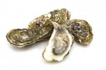 OSTRICA ROSA TARBOURIECH (Crassostrea Gigas) Fao.37