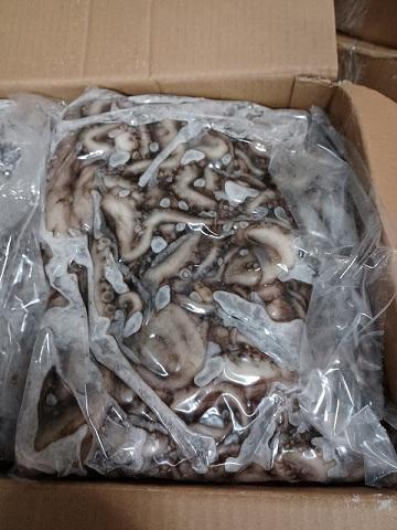 POLPO MAROCCO (MS) T9 BORDO BLOCCO C.