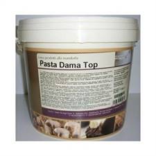 PASTA DAMA 1 KG TOP IRCA
