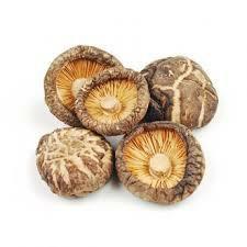 FUNGHI CARDONCELLI FRESCHI