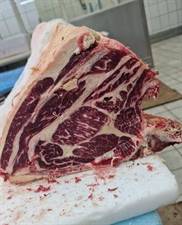 CARRE'3ST SCOTTONA IRLANDA HEREFORD B.ANGUS