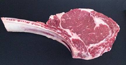 TOMAHAWK SCOTTONA POLACCA HOPTIMAX