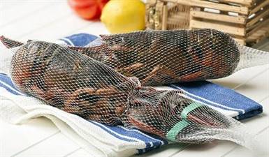 ASTICI CANADA CRUDO 400/450 KG5 CONG. P.NETTO