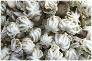 POLIPETTI 20/40 IQF INDOP. 800GR C.