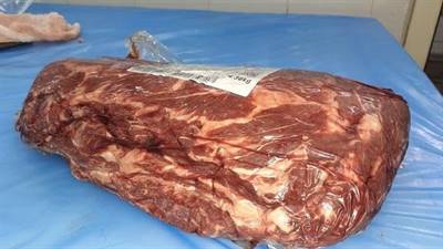 FRACOSTA CUORE ITALIAN COW FR.S/V