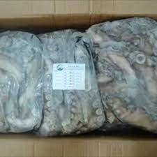 POLPO MAROCCO T3 IWP TAKO BORDO C.