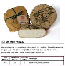 PECORINO CACIO FAENUM STAGIONATO