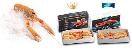 SCAMPI 31/40 MARIUS DK. 700GR.C. nephrops norvegicus