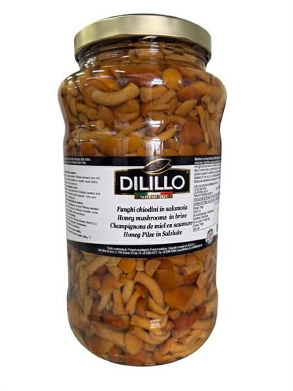 FUNGHI CHIODINI 3KG DILILLO FAMIGLIOLA