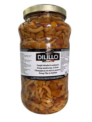 FUNGHI CHIODINI 3KG DILILLO FAMIGLIOLA