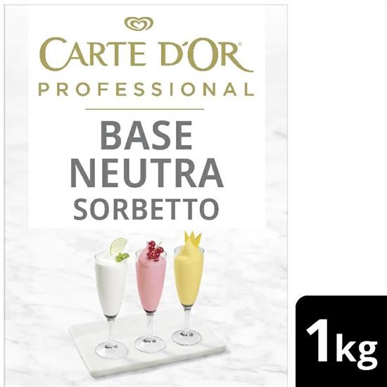 PREPARATO PER SORBETTO BASE NEUTRA 1KG CARTE D'OR