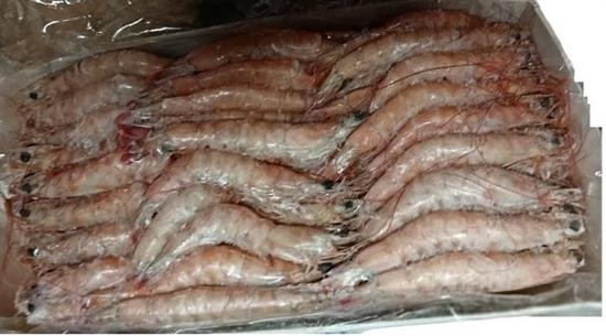 GAMBERI NIGERIA BORDO N5 60/80 NETTO 6X2KG