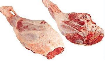 COSCIA AGNELLO C/OSSO FR.
