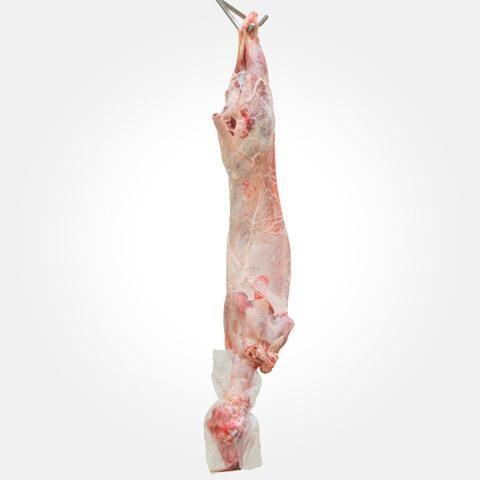 AGNELLO C/TESTA-C/FRAT.7/9KG FR
