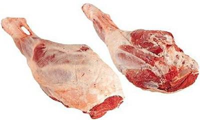 COSCIA AGNELLO UK FR.S/V