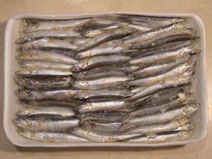 ALICI C/T G (40/60) SURG. P.NETTO