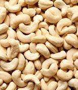 ANACARDI CRUDI KG.1 ALIMENTS