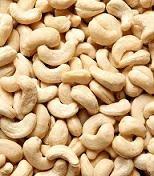 ANACARDI CRUDI KG.1 ALIMENTS