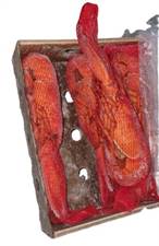 ASTICI CANADA COTTO 400/450 CONG. 5KG