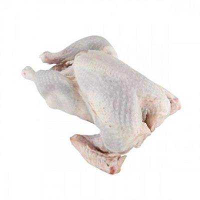 TACCHINO M BUSTO A FR