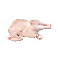 TACCHINELLA F BUSTO A FR