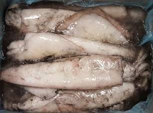 CALAMARO FRANCIA 300/500 BL.C. 10% KG5