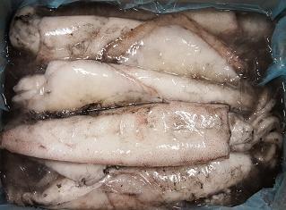 CALAMARO FRANCIA 300/500 BL.C. 10% KG5