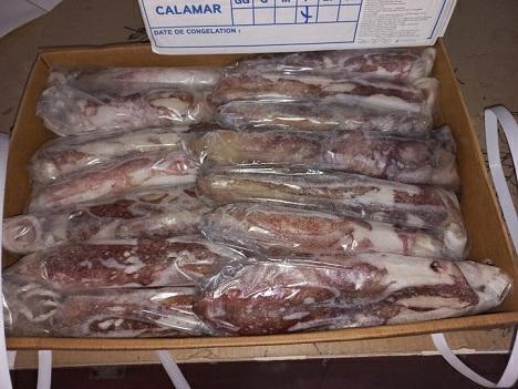 CALAMARO MAROCCO 3P IWP (11/16CM) BORDO 5KG C.