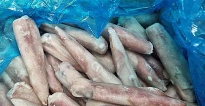 CALAMARO SPORCO VIETNAM 10/15CM IQF 7KG 20%GL.