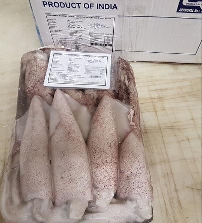 CALAMARO U3 BL SPOR.INDIA C.3X4KG PESO NETTO