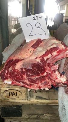 CARRE'VACCA FRISONA POLACCA 25+ (MCKEEN)