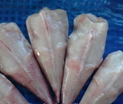 CODE ROSPO 700/1000 INDOP. PESO NETTO C. KG 8