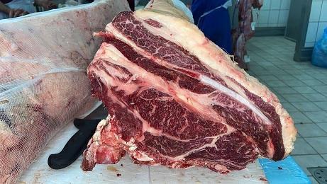 CARRE'VACCA GRASSA GALLOWAY SUPERIOR 27+ (AME)