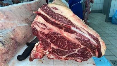 CARRE'VACCA GRASSA GALLOWAY SUPERIOR 27+ (AME)