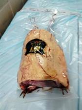 PICANHA VACCA PRUSSIAN SASHI DIAMOND KG.2+ (JN)