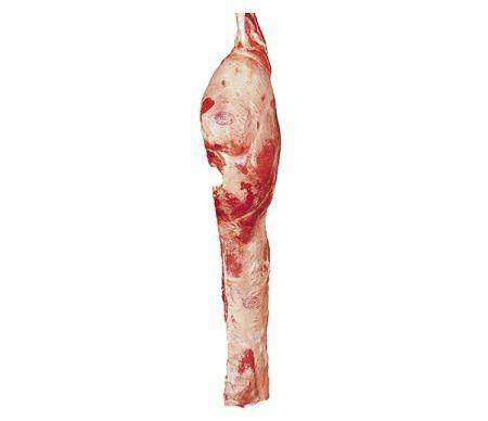 PISTOLA BABY BEEF OLANDA (EKR)